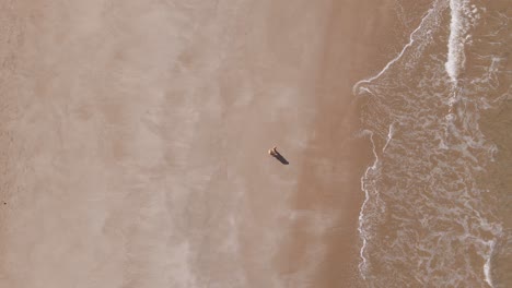 top down view from a drone tracking a woman walking along a sandy beach while waves crash next to her