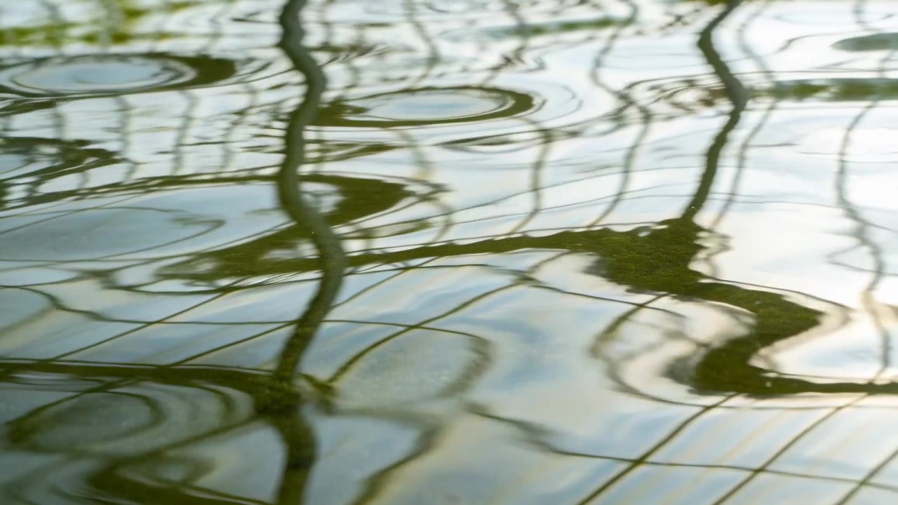 Rippling water surface bending reflected grid and posts at park pond, breeze initiating motion