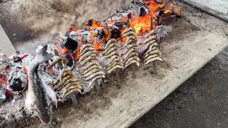 traditional spanish food sardines being cooked on sticks with open fire on the beach, espeto de sardinars