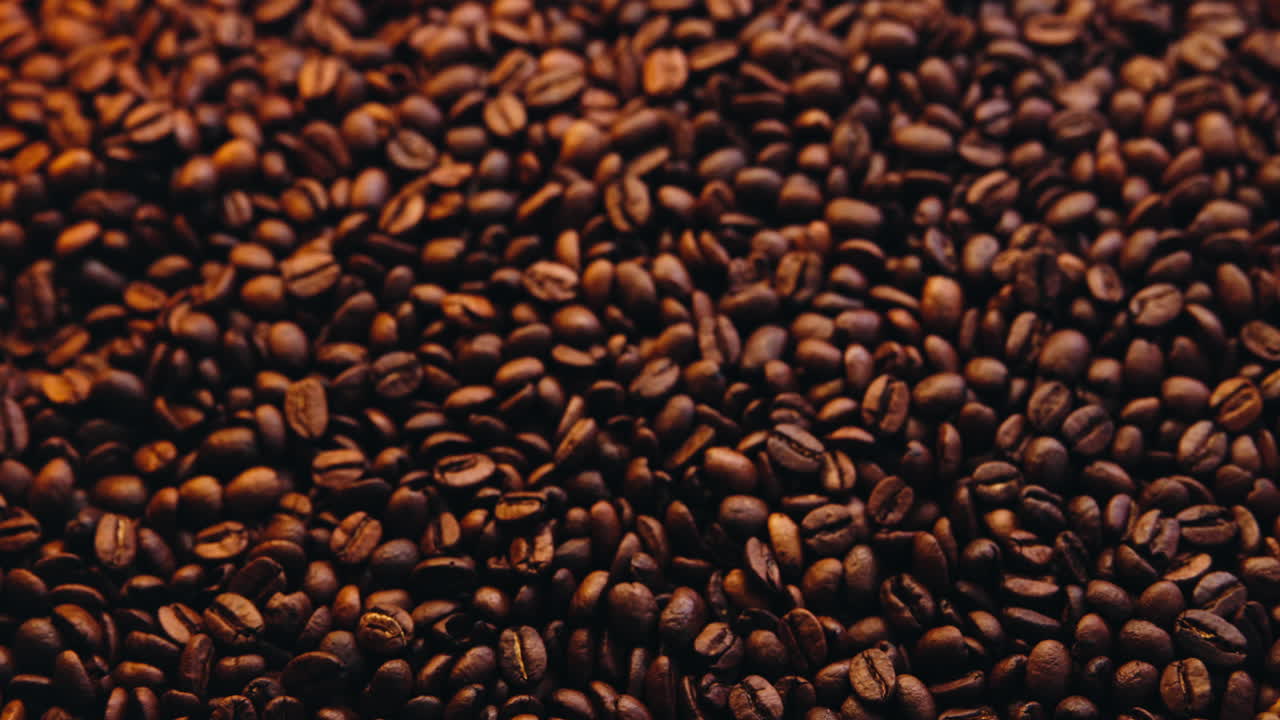 Close Up of Roasted Coffee Beans