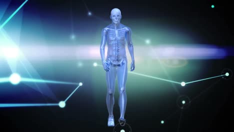 animation of walking xray human figure over glowing network of connections and lights on black