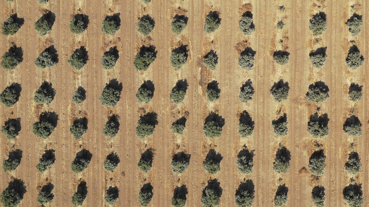 농업 위의 공중 농장 토지