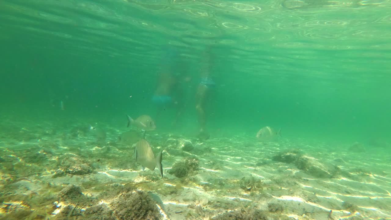 испания, майорка, кала-сант-жорди и остров кабрера