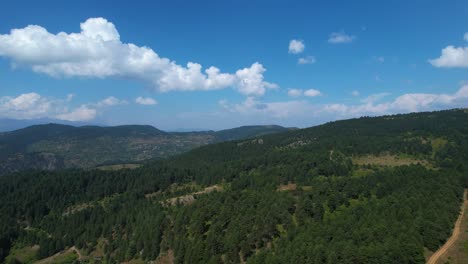 mountain paradise: stunning green pine forest, white clouds, and blue skies – the ultimate destination for outdoor recreation and serenity