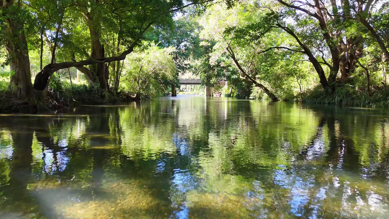 Drone captures tranquil river flowing under dense green canopy with sunlight filtering through, creating a peaceful natural scene