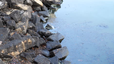 contaminación por petróleo en los rompeolas en el mar - depósitos negros en las piedras