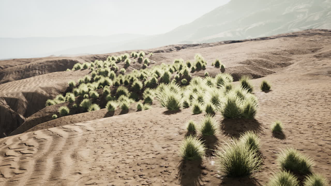 레드 록 캐니언 국립공원