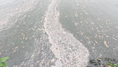 leaves and debris floating on a river's surface.