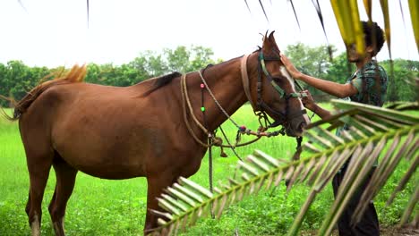 joven guapo con caballo marrón