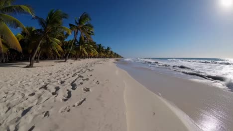 aerial video of a tropical beach with palm trees, capturing the serene shoreline and gentle waves