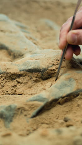 archaeologist excavating