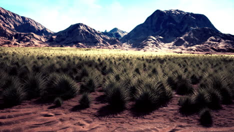 Beautiful-yellow-orange-sand-dune-in-desert-in-middle-Asia