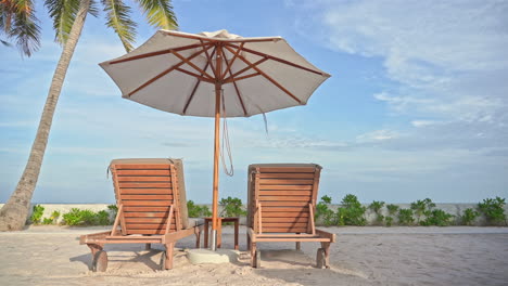 sun umbrella, palm tree and empty deckchairs on the beach