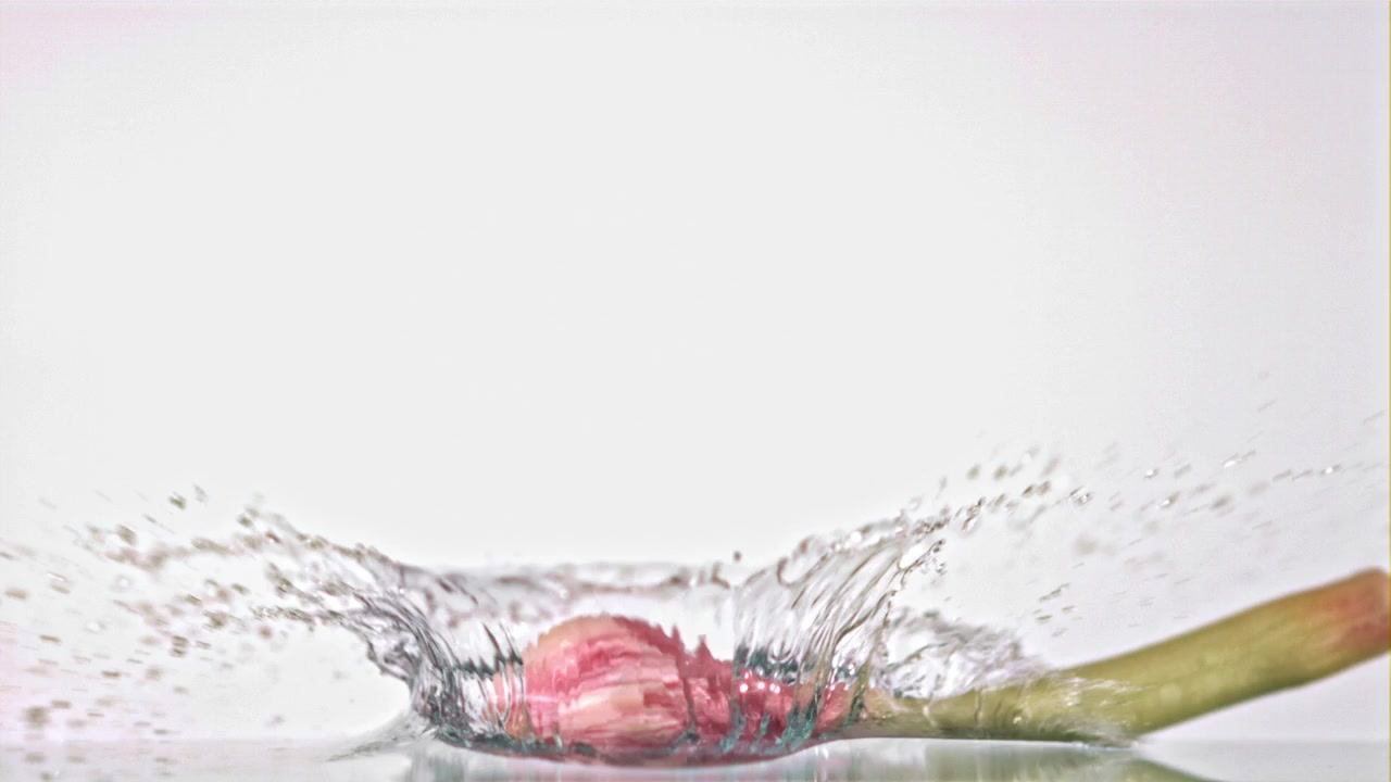 Stelo d'aglio fresco che cade in acqua limpida al rallentatore