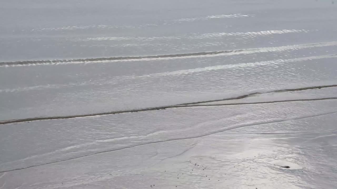 찰스턴, sc의 해안선의 총을 닫습니다