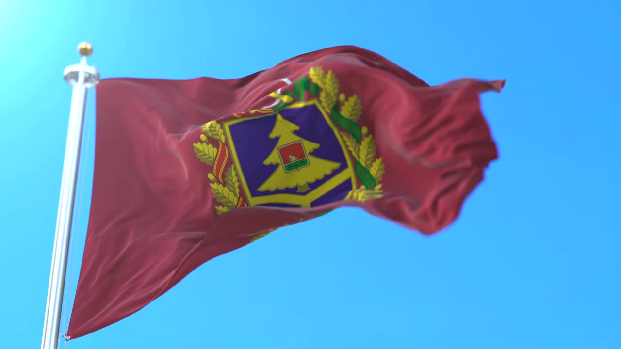 bandera del sujeto federal ruso del oblast de bryansk, rusia.