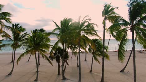 Sunrise-above-tropical-beach-with-palm-trees,-tranquil-Caribbean-island-resort,-upscale-honeymoon-destination-in-Dominican-Republic