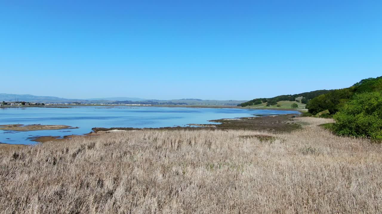 아름다운 호수 와 습지 위 에 드론 비행