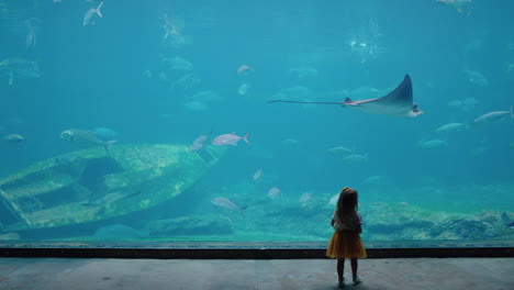 little-girl-taking-photo-of-stingray-in-aquarium-using-smartphone-photographing-fish-swimming-with-marine-animals-in-tank-child-learning-about-sea-life-in-aquatic-habitat-having-fun-in-oceanarium