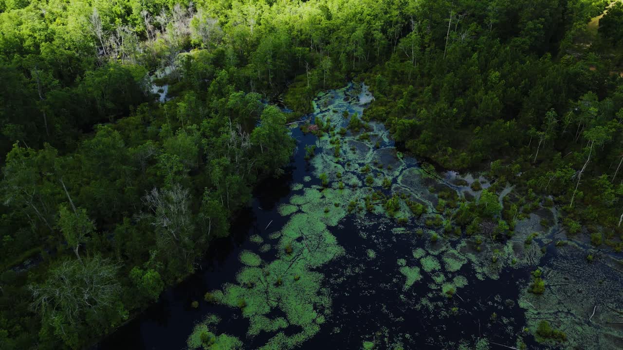 오리 연못 의 공중 촬영