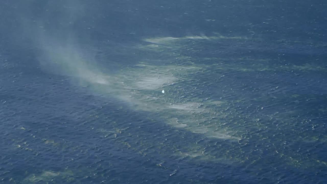 해양 풍경에 대한 연결 네트워크의 활성화