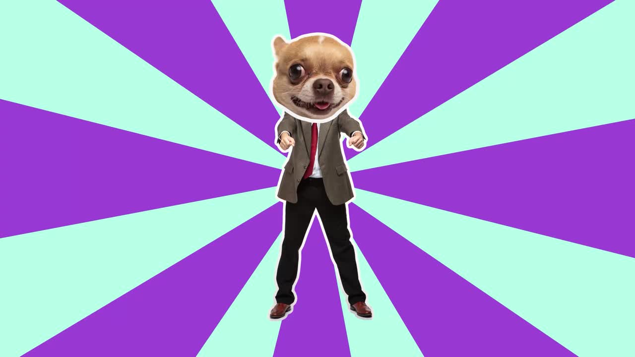 diseño de movimiento de animación minimalista 4k. cara de perro graciosa en un hombre bailando. estado de ánimo pop y baile. hombre de negocios en stop motion, 2d, moderno, conceptual, collage de arte pop contemporáneo. fiesta, negocio, concepto