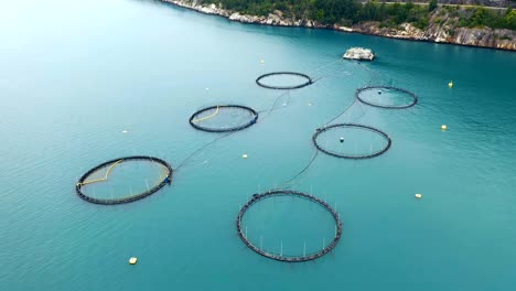 imágenes aéreas de granjas de pesca de salmón en noruega