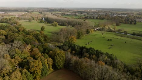 Stoneleigh-Abtei-Landschaft-Parkland-Landschaft-Herbst-Luftaufnahme-Uk