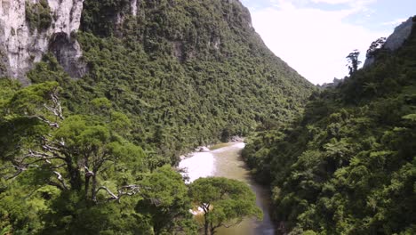 revelación aérea del bosque nativo de la selva y el río en el cañón