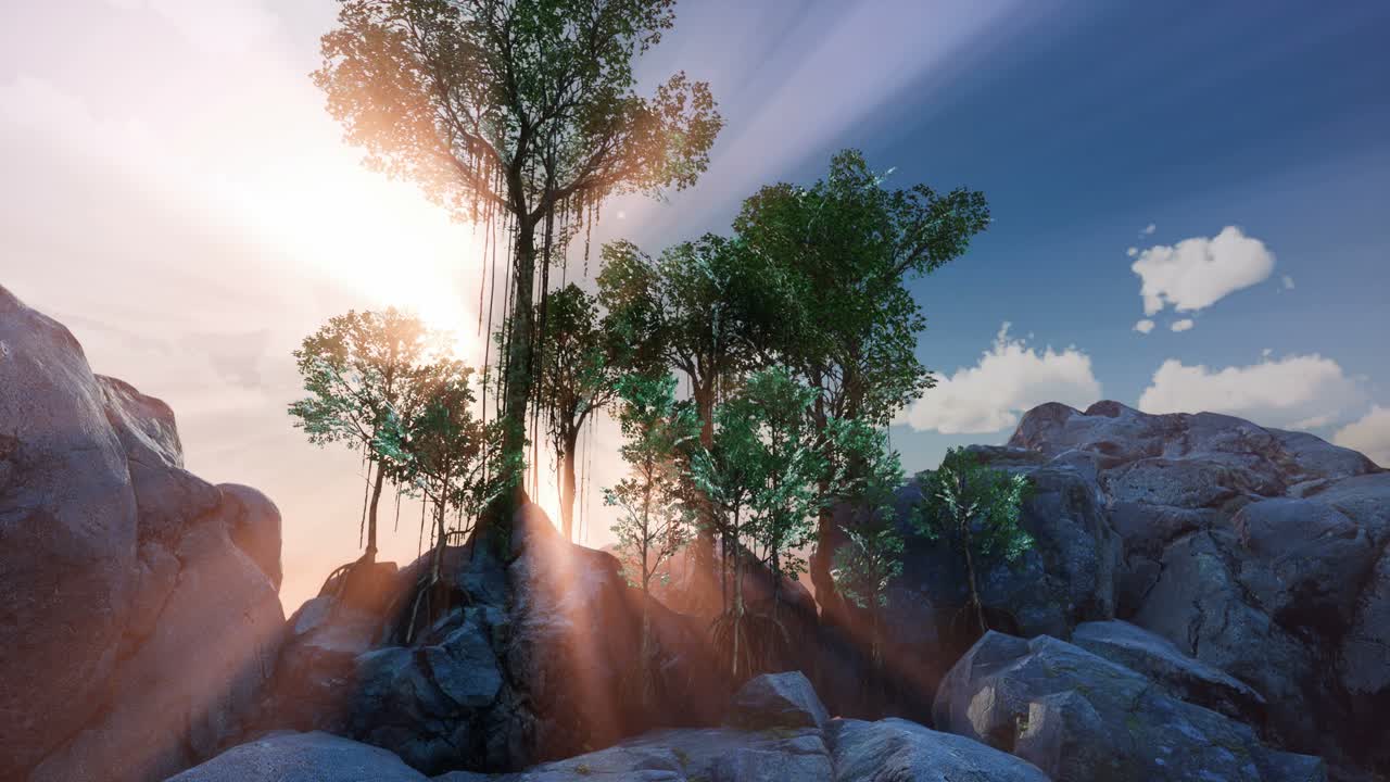 나무들을 가로지르는  ⁇ 빛