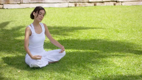 Mujer-Joven-Meditando-En-La-Naturalezaaa