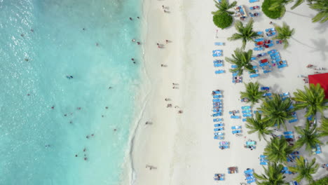 Los-Turistas-Se-Pasean-Por-Las-Hermosas-Playas-De-Arena-Blanca-Del-Mar-Caribe,-República-Dominicana,-Vista-Aérea-De-Arriba-Hacia-Abajo