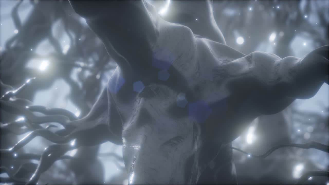 뇌 안의 신경 세포 네트워크를 통해 여행합니다.