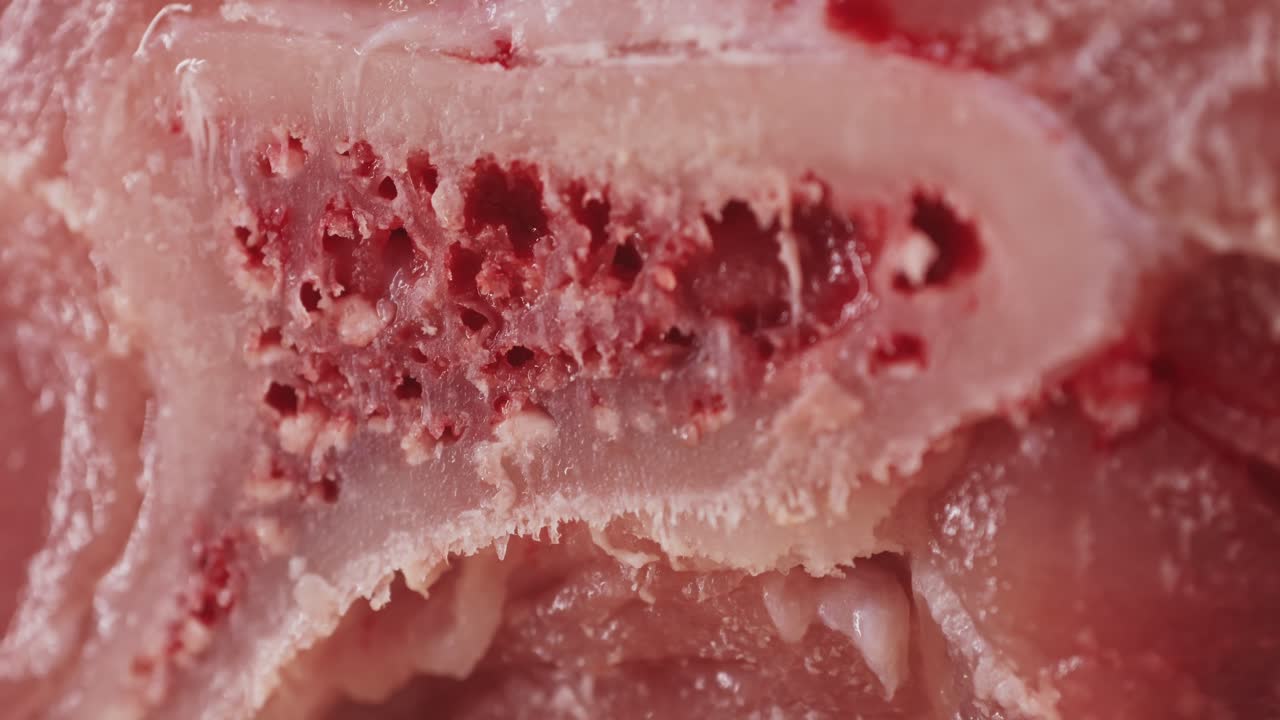 Close-up of raw meat with bone and visible texture