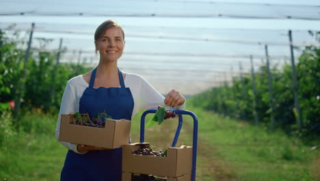 beautiful woman holding orchard cherry box at modern sunny outdoors green house.