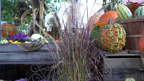 you can see a beautiful market with flowers and pumpkins in autumn