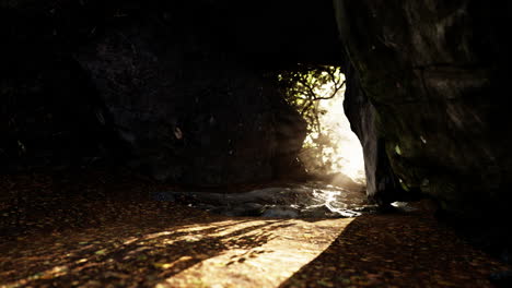 la luz del sol fluye a través de una cueva en un bosque