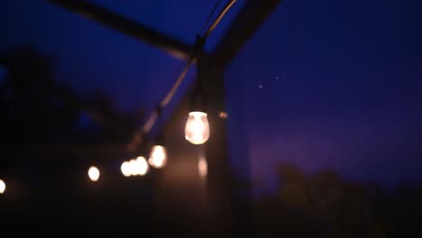 edison bulb light string at night under a blue sky