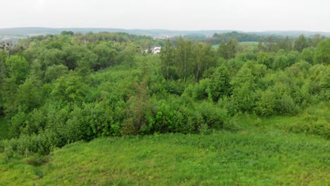 Flight-over-green-meadow-in-Kolbudy-in-pomeranian-district