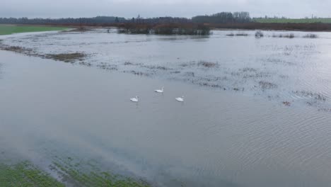 aerial establishing view of high water, alande river , agricultural fields under the water, overcast day, wide drone orbit shot