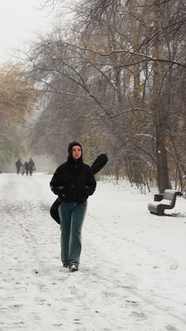 dama en chaqueta de invierno con guitarra, manos en los bolsillos, caminando por el camino cubierto de nieve del parque, con la gente en el fondo lejano, escena nevada serena con postes de lámparas y bancos
