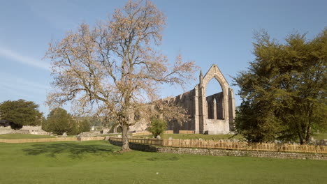 Static-Shot-of-Bolton-Abbey-Ruins-on-a-Beautiful-Sunny-Summer’s-Morning-in-Yorkshire,-England