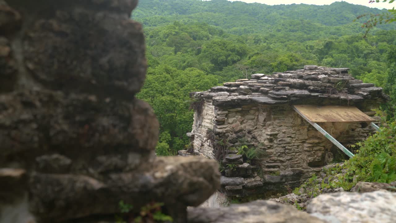 Le antiche rovine Maya di Bonampak si ergono tra gli alberi della giungla, con strutture in pietra illuminate dalla calda luce del giorno; inquadratura di media ampiezza.