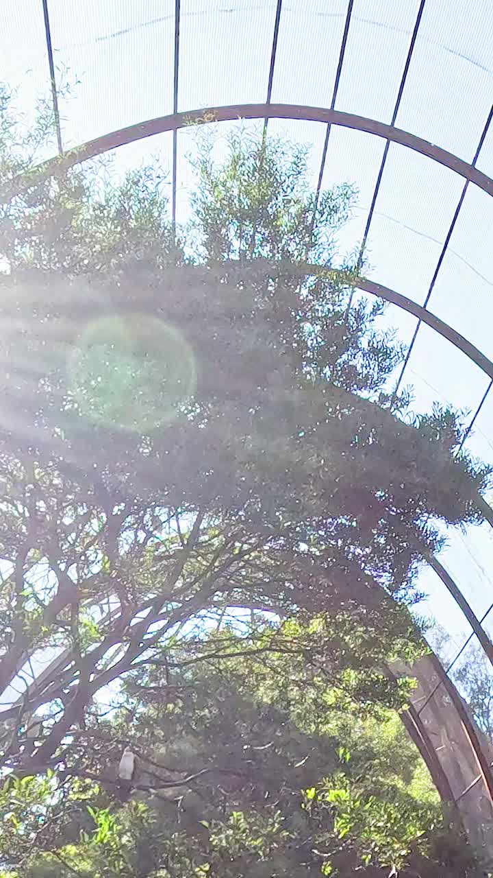 Sunlight filters through trees in a birdcage