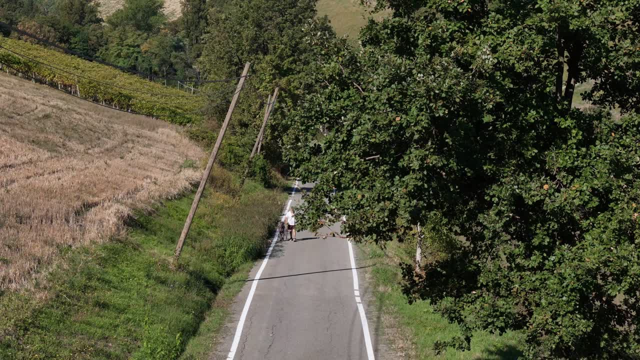 Man strolling with his great dane dog along a winding country road in terraced vineyards on a sunny day, enjoying outdoor companionship and wellness while a jogger runs oout of the scene