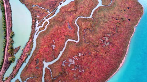 naturaleza de aspecto abstracto y castillo en el parque nacional de butrint en albania