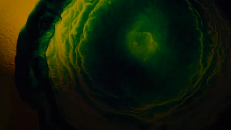 el verde ocupado y enojado hace que la belleza sea oscura: un videoclip abstracto completamente natural