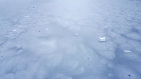 Zugefrorener-See-Im-Wald-Eis-Drohnenschuss