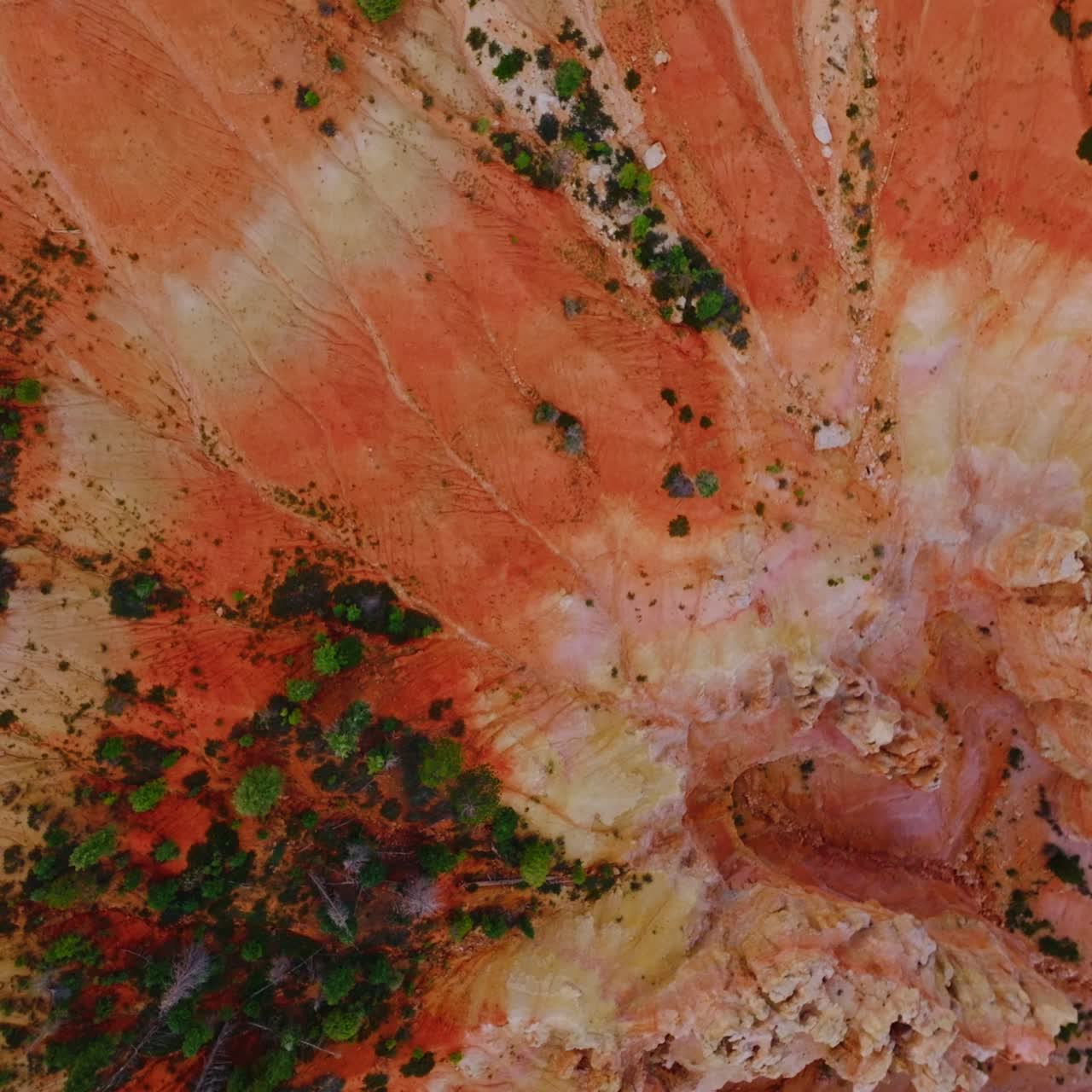 Weird rock columns in Bryce Canyon, Utah. Little greenery growing near the road in national park. Top view