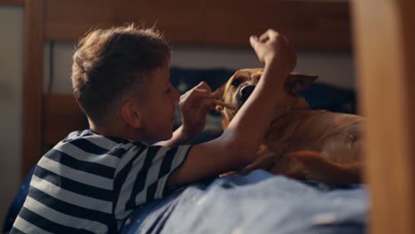 boy and dog playing on a bed